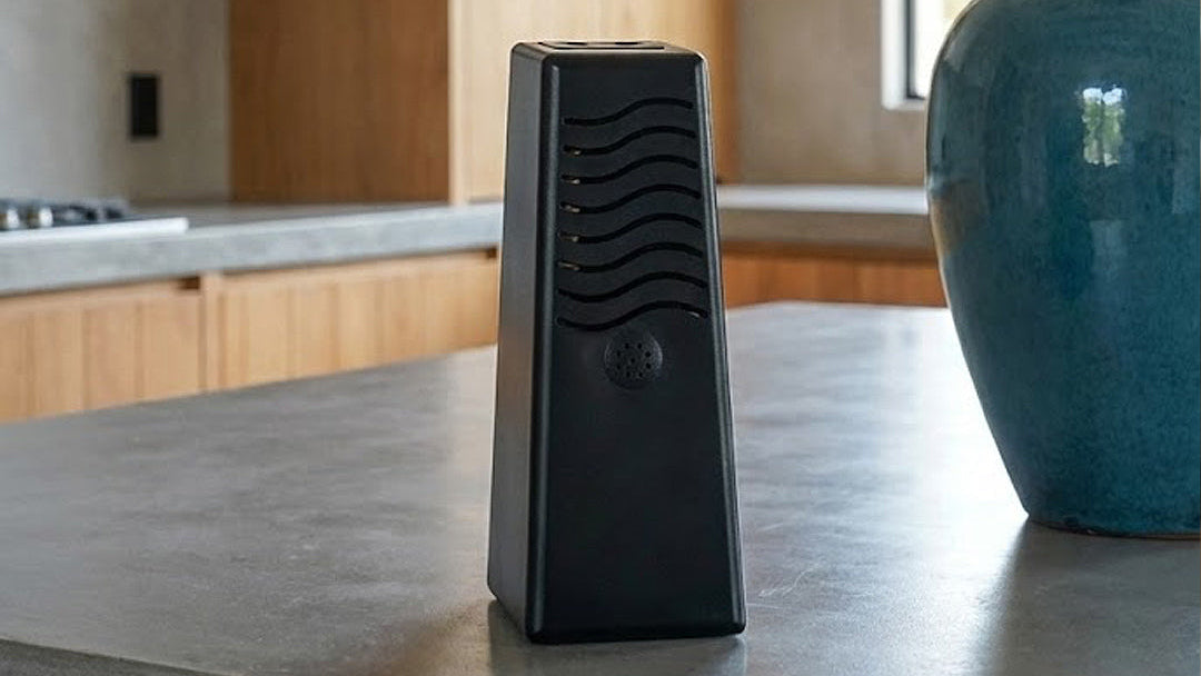 Black electronic device on a kitchen counter with a vase and plant in the background
